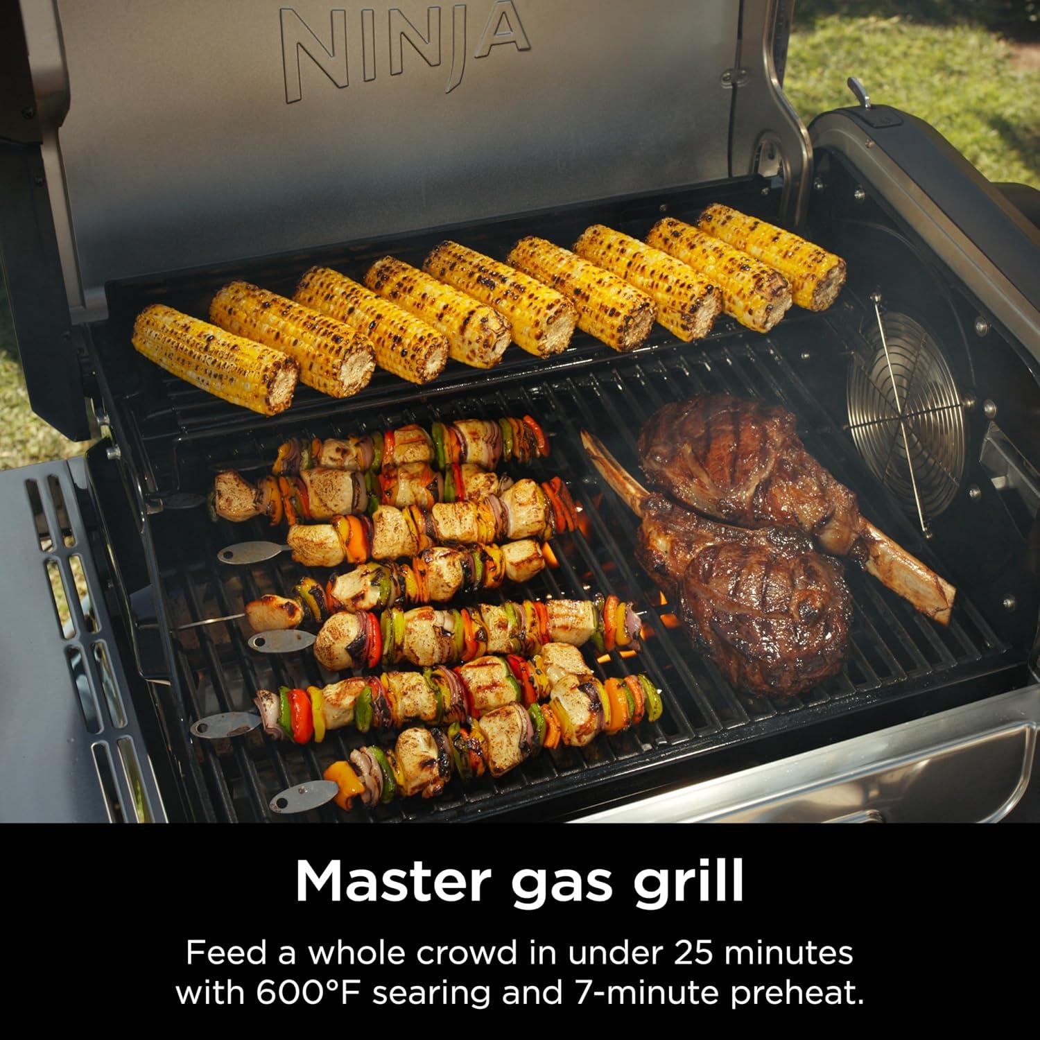 imageNinja FlexFlame Grill and Smoker Electric and Propane Grill Roaster BBQ Grill 5in1 Cooking System 3 Burner Digital Control Outdoor Cooking Griddle Pizza Maker Stainless Steel PG301PG301